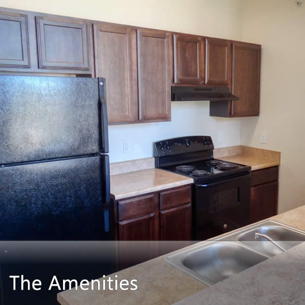 Features & Amenities